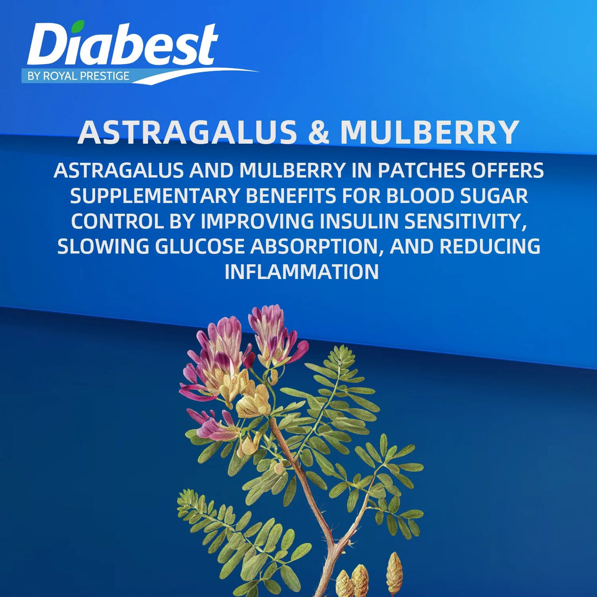Herbal Diabetic Patch (12 Pcs) | Natural Blood Sugar Wellness Support Patch with Astragalus & Mulberry