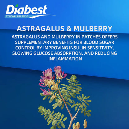 Herbal Diabetic Patch (12 Pcs) | Natural Blood Sugar Wellness Support Patch with Astragalus & Mulberry