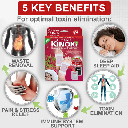 Kinoki Wolfberry Foot Patches (10 Pcs) | Goji Berry Herbal Overnight Foot Care & Relaxation Pads