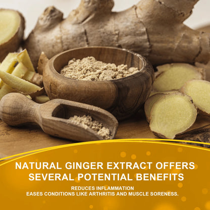 Royal Prestige Ginger Mammary Gland Patch | Herbal Warming Breast Comfort Patches